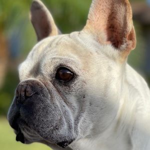 Meet your Posher, Ella